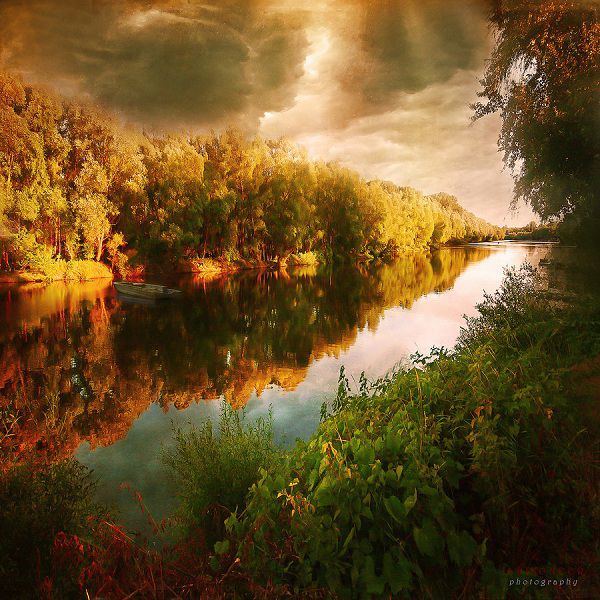 ������ Ildiko Neer