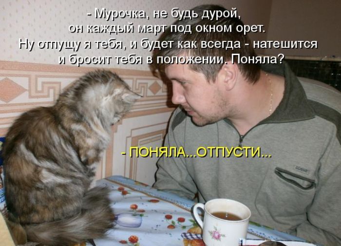 Лучшие котоматрицы недели