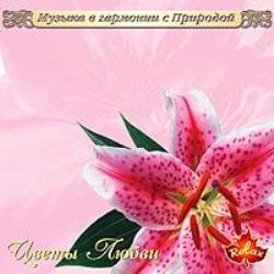 Музыка в гармонии с природой (11 CD) Музыка в гармонии с природой (11 CD)