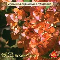 Музыка в гармонии с природой (11 CD) Музыка в гармонии с природой (11 CD)