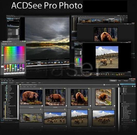 Скачать бесплатно - ACDSee Pro 3.0.200 Beta - Версия для печати.