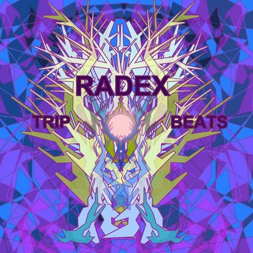 Radex - Trip Beats (2012)
