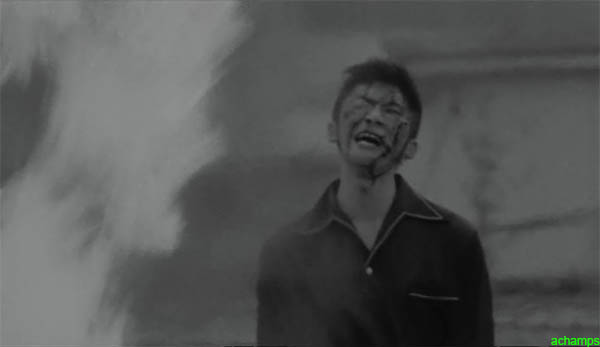 524c9f96a58b4e190fc3e4c7afc9f4d9.jpg