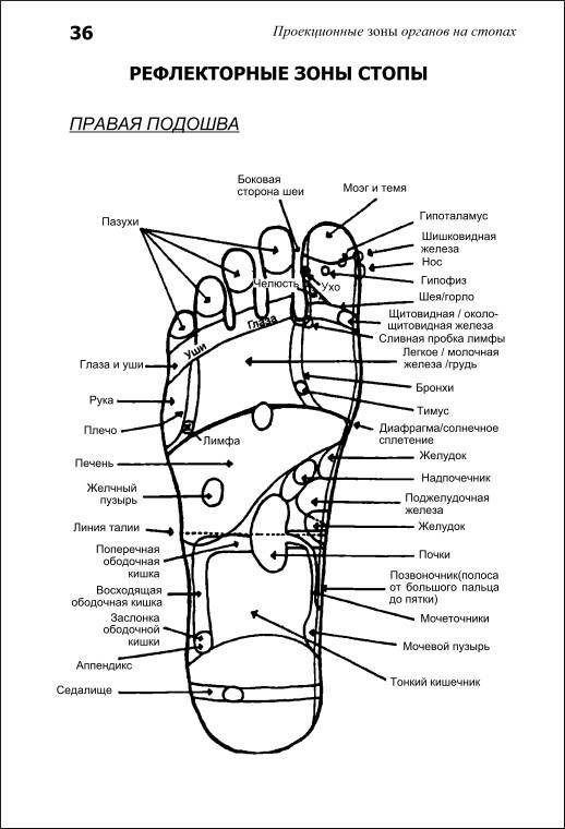 pdf Information