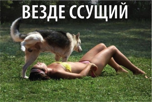 http://i4.imageban.ru/out/2013/07/16/d76c8824a2cffb1a642800e97c1f0634.jpg