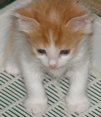 ""