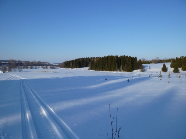 56c16cee998025639e35529b0280b786.jpg