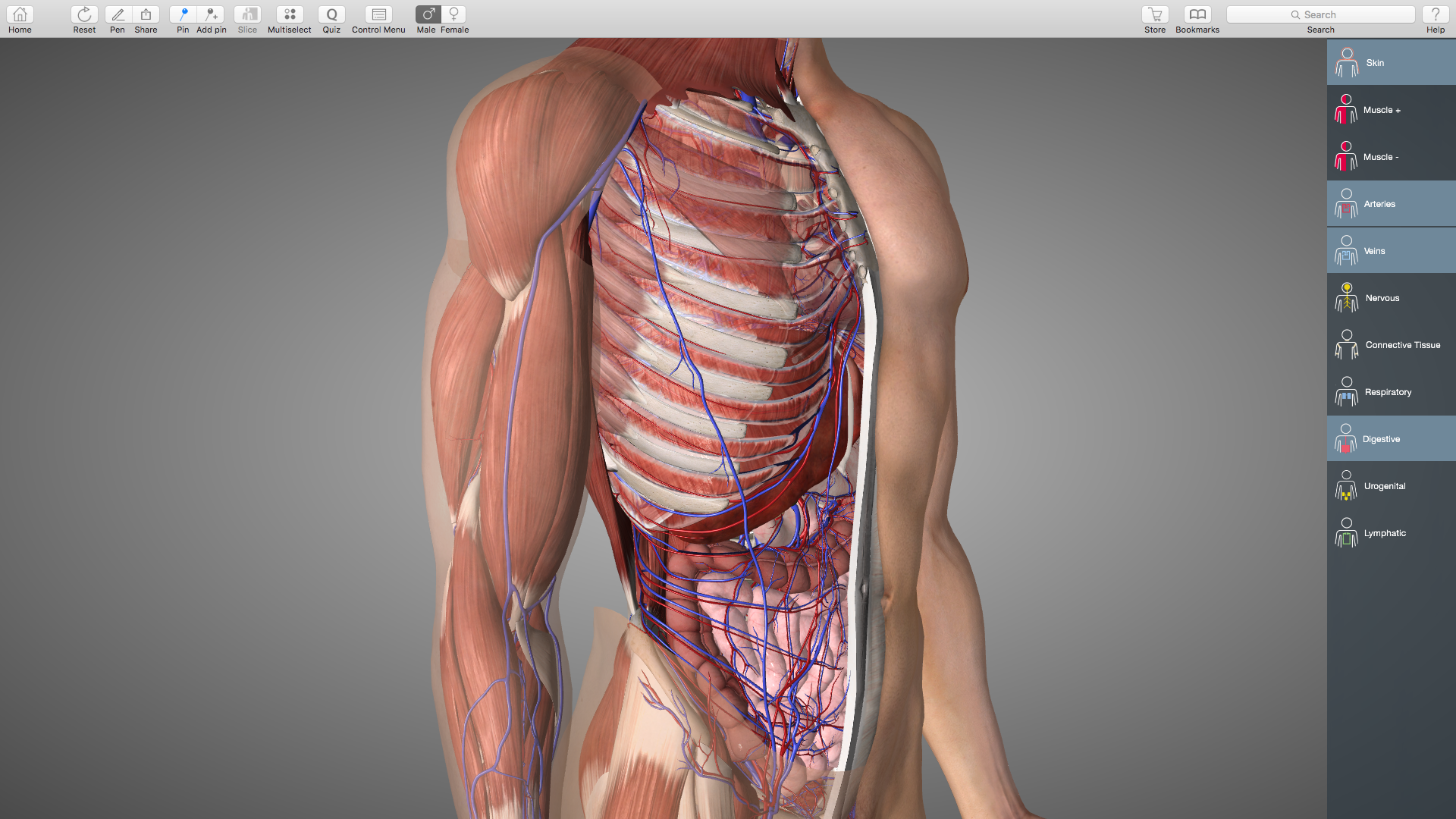 essential anatomy 3d app torrent