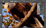 Adobe Illustrator CC 2017 21.0.0 RePack by KpoJIuK (x86-x64) (2016) Multi/Rus Adobe Illustrator CC 2017 21.0.0 RePack by KpoJIuK (x86-x64) (2016) Multi/Rus