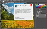 Adobe Photoshop CC 2017.0.0 2016.10.12.r.53 RePack by alexagf (x86-x64) (2016) Rus/Eng Adobe Photoshop CC 2017.0.0 2016.10.12.r.53 RePack by alexagf (x86-x64) (2016) Rus/Eng