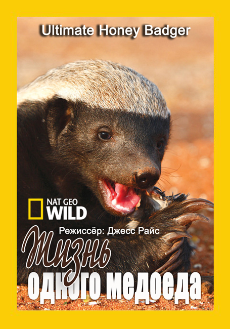 Nat Geo Wild:    / Ultimate Honey Badger (2013) HDTVRip 720p | D