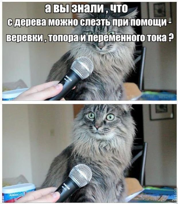 Сборка № 284 Сборка № 284