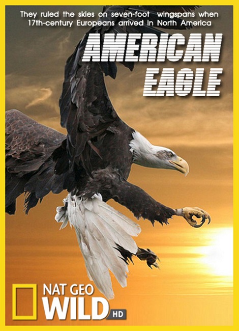 Nat Geo Wild:   / American Eagle (2009) HDTV 1080i | P1