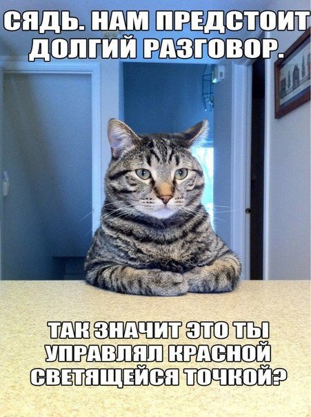 Сборка № 293 Сборка № 293