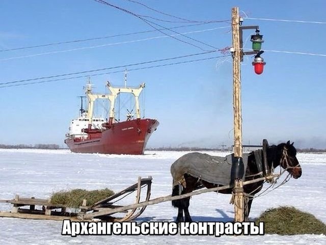 Сборка № 297 Сборка № 297