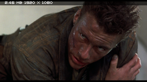 Киборг / Cyborg (1989) BDRemux 1080p Киборг / Cyborg (1989) BDRemux 1080p