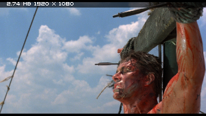 Киборг / Cyborg (1989) BDRemux 1080p Киборг / Cyborg (1989) BDRemux 1080p