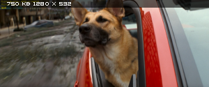 Я - легенда / I Am Legend (2007) BDRip 720p | Theatrical version Я - легенда / I Am Legend (2007) BDRip 720p | Theatrical version