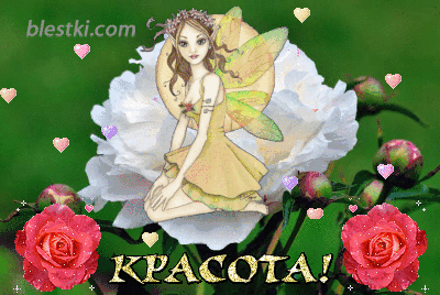 Открытка красота