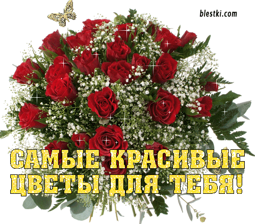 Красивые букет розы
