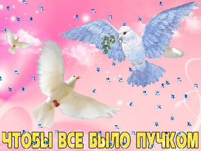 Голуби мира