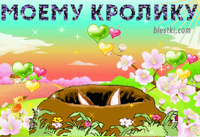С днем рождения кролик