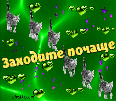 Котик