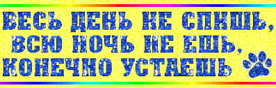 Весь день не спишь всю ночь не ешь конечно