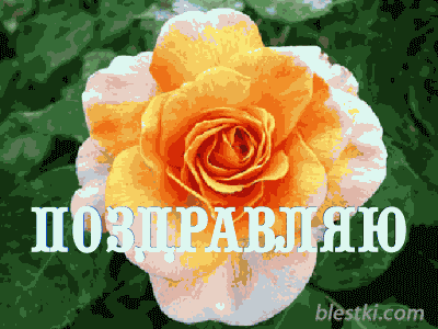 Поздравительная открытка