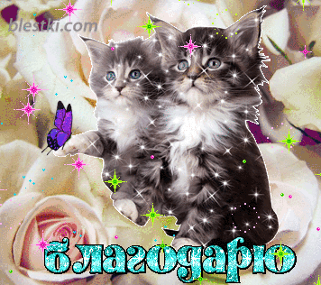 Открытки с кошечками