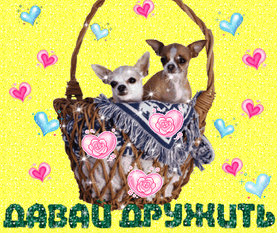 Давай дружить