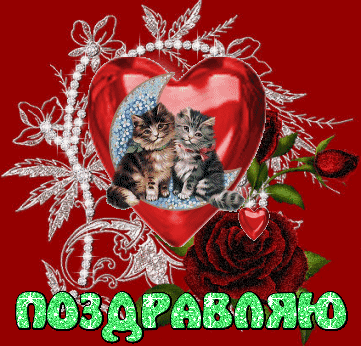 Сердце кошки