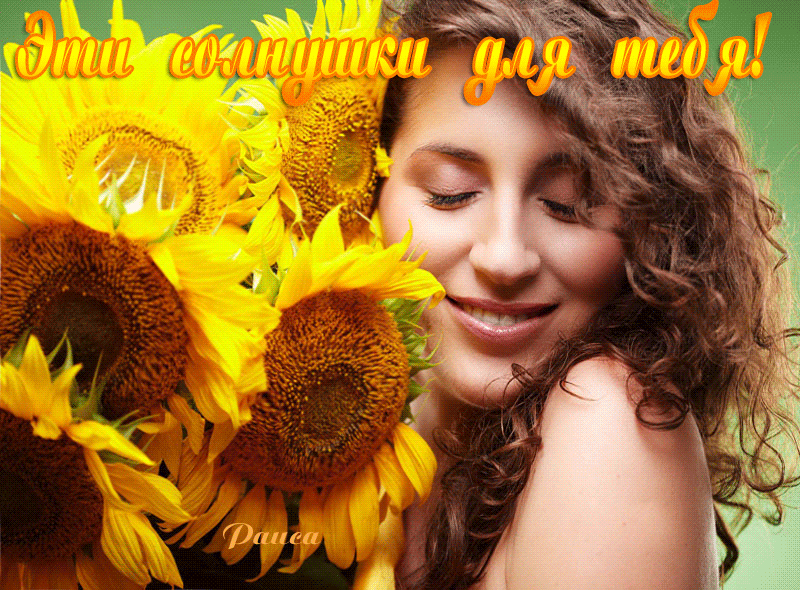Фотографии подсолнухов
