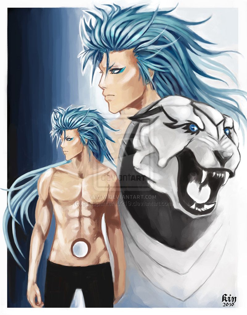 The_Panther_King_by_grindpantera0219.jpg