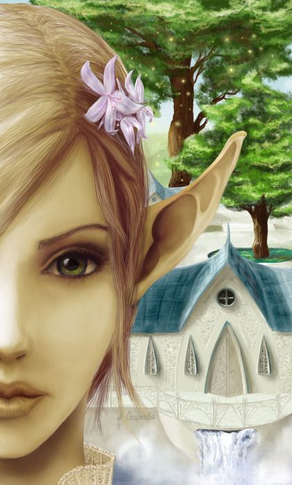 58505457_1272736229_elf8.jpg