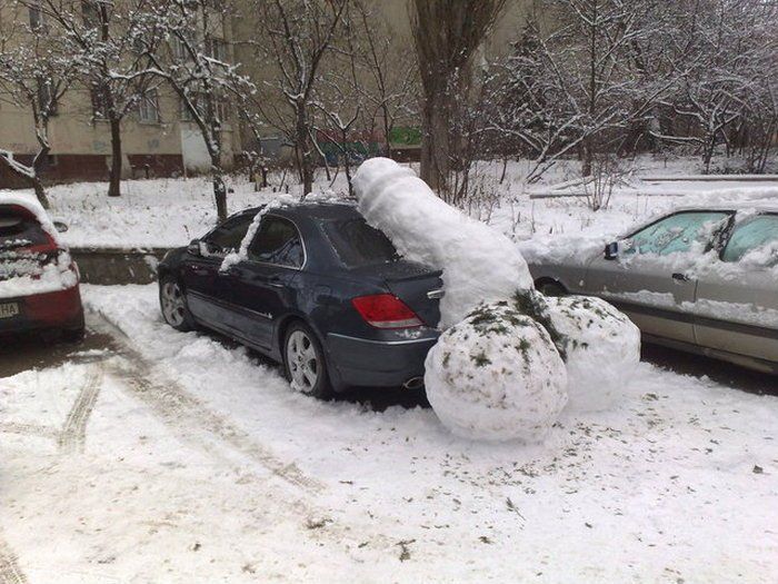 podborku.jpg
