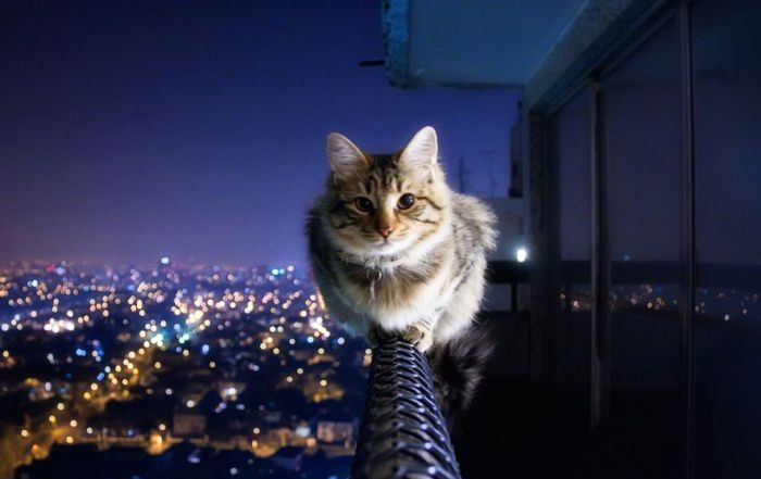 2223eee__034.jpg
