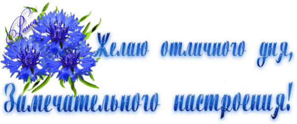 Добрые пожелания с васильками