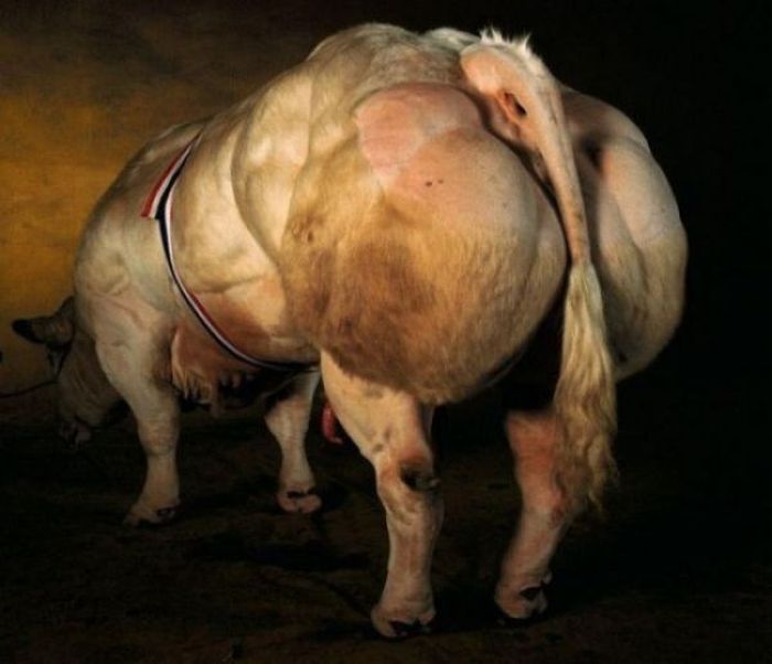 podbornb.jpg