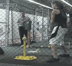 Baseball field