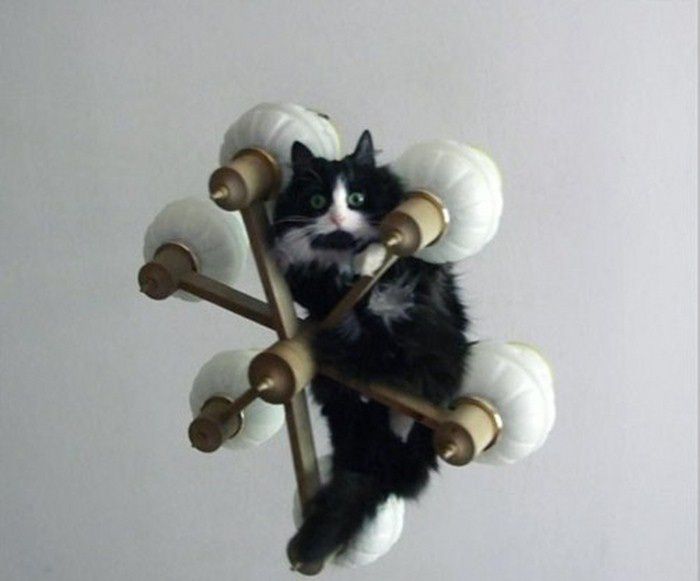 weee4eew_010.jpg