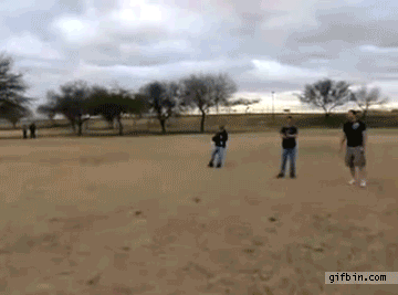 5228d65f_2d84_30da.gif
