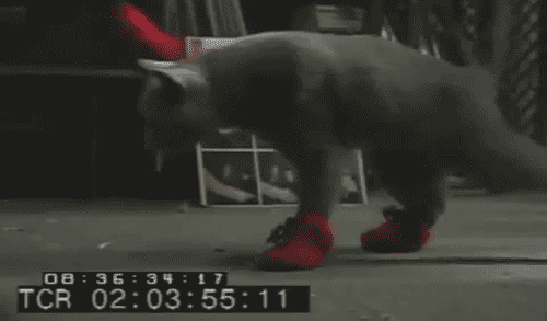 bec46839_642f_4ce6.gif