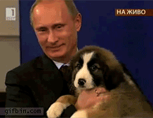 1302782342_putin-and-cute-puppy.gif