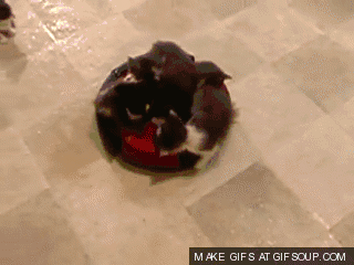 c965e90d6b6b5defc1db879962f0cd3a.gif