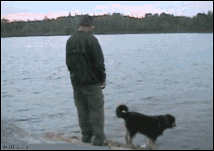 417.gif