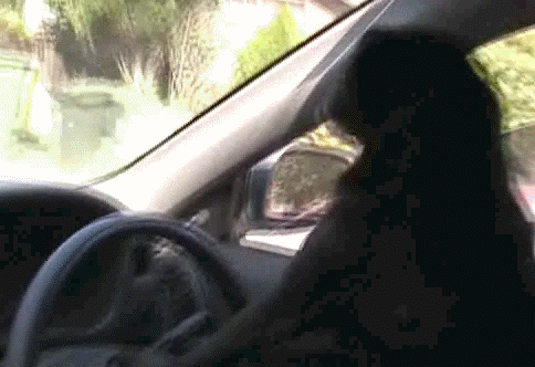 dog_drives_the_car.gif