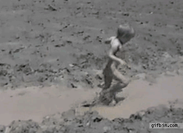 43bfd075_53e9_396f.gif