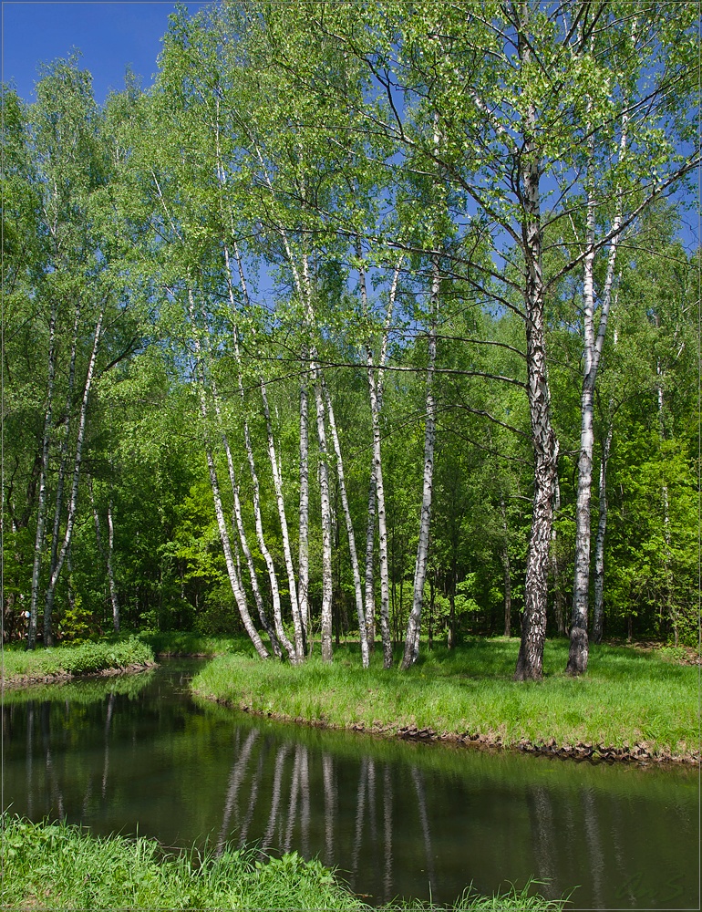 P5209142_tn.jpg