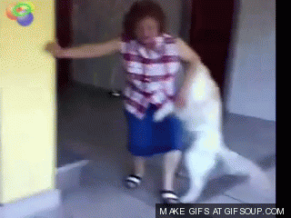 who_let_the_dog_out.gif